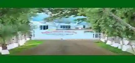 শেয়ার